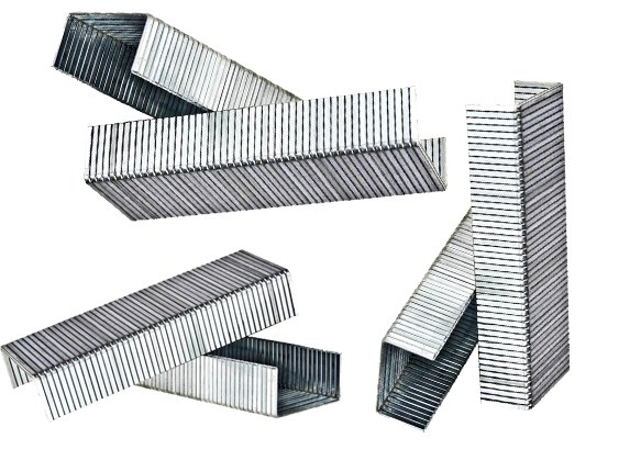 Boite de 1000 agrafes 24/6 - Image produit